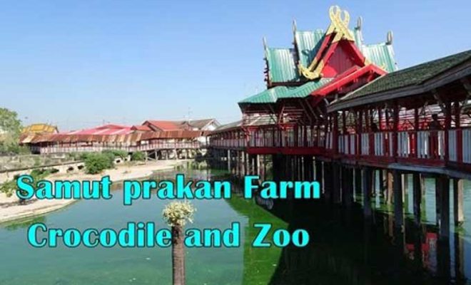 サムットプラカーン クロコダイルファーム＆ズー（Samutprakarn Crocodile Farm & Zoo ）