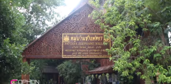 パタヤ・エレファント・ビレッジ（Pattaya Elephant Village）
